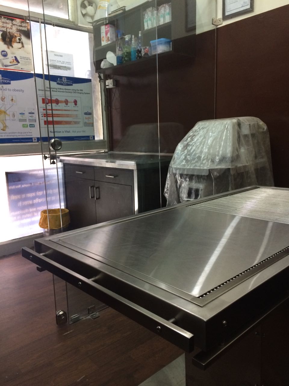 Lifeline Pet Clinic examination room