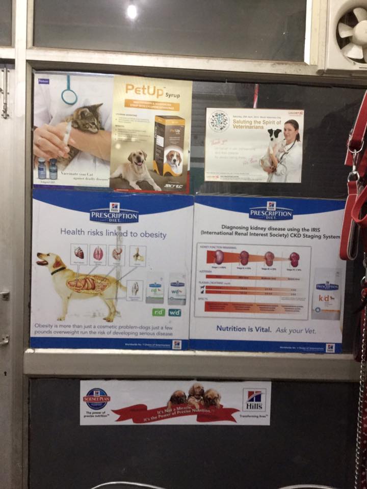 Treatment room at Lifeline Pet Clinic