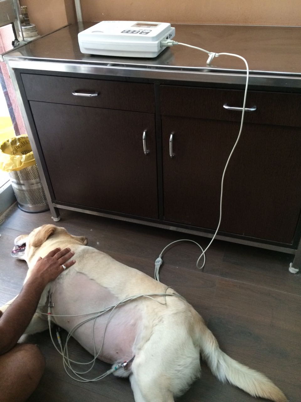 Diagnostic equipment